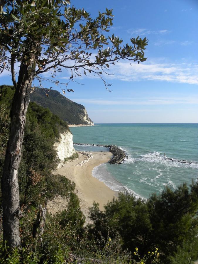 Mare Di Stelle Sirolo